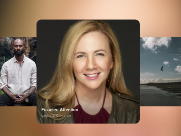 carousel of meditation teacher slides