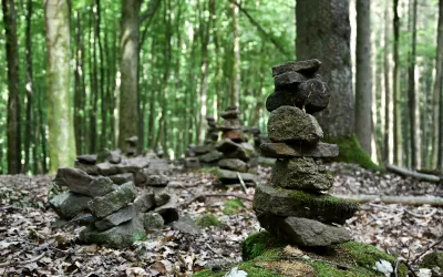 Rock sculptures in the forest.