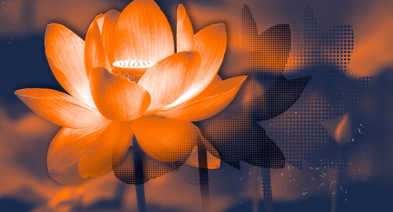 Glowing lotus with stylized shadow versions