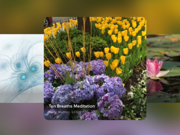 Various images evoking relaxation, mostly flowers