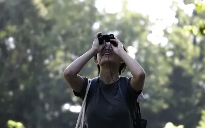 Sydney Wong viewing birds through binoculars