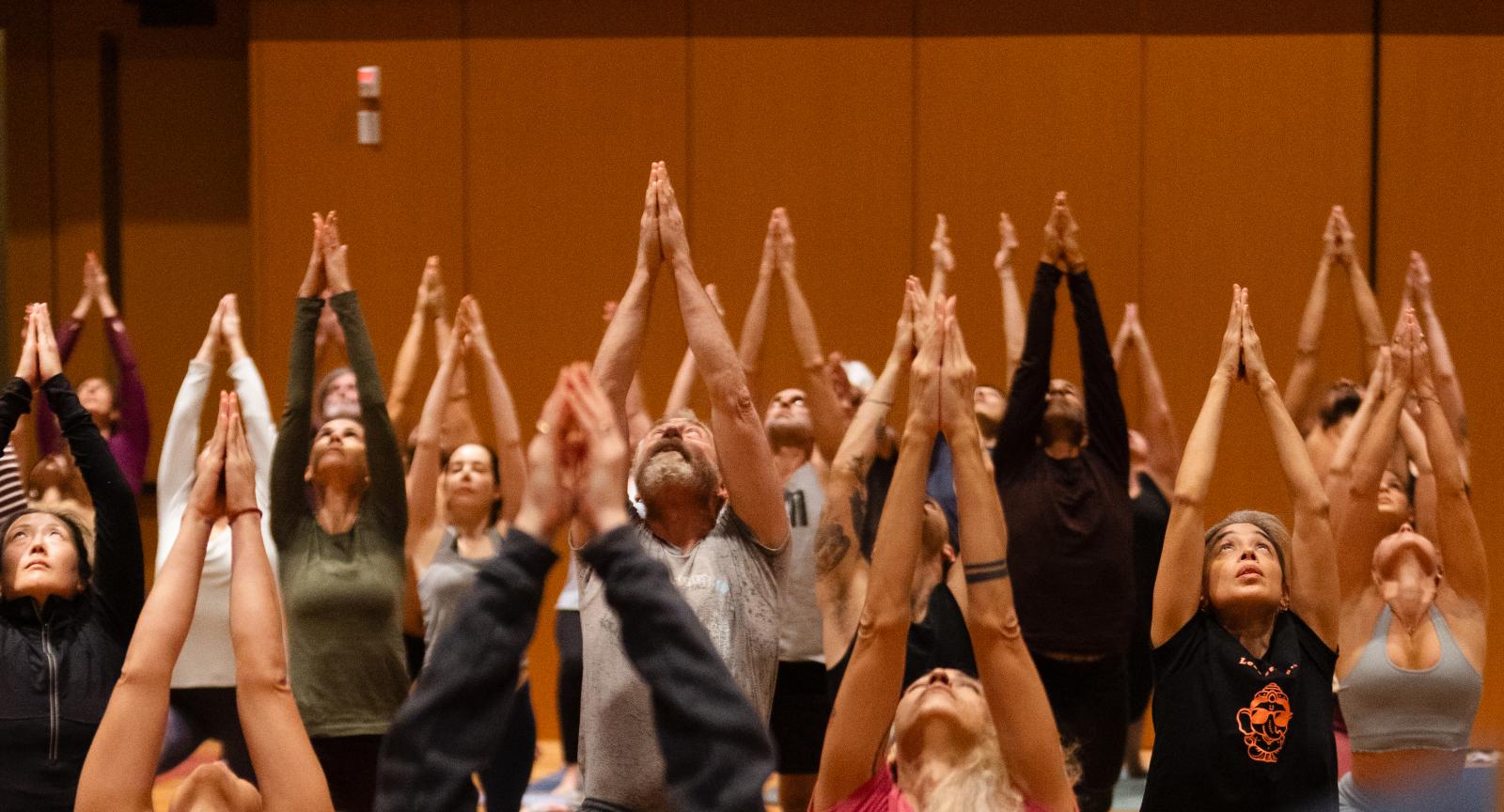 Crop Active Series 2 Yoga