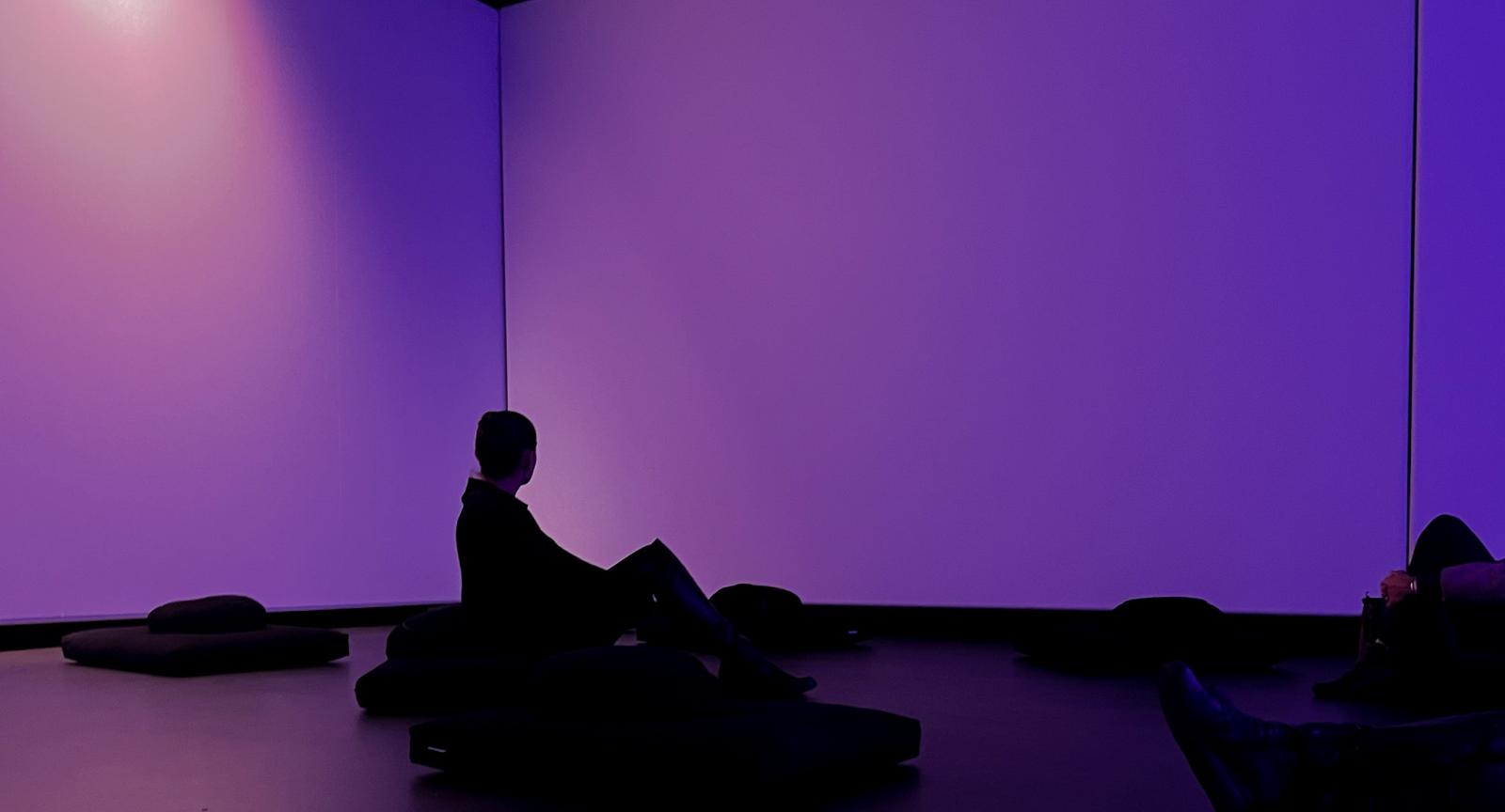 Conservatory Sonic Immersion Purple