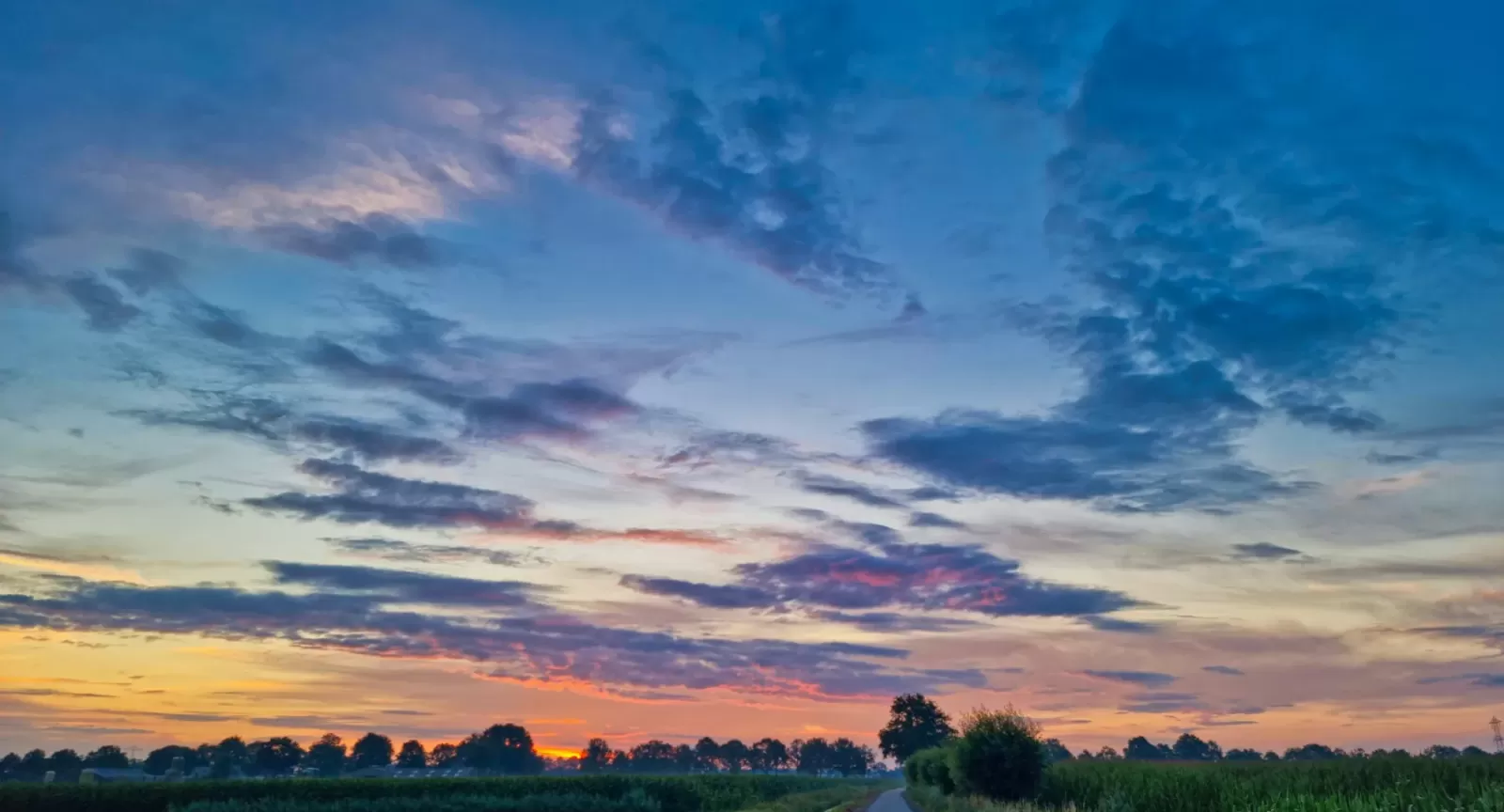 Dawn sky looking down a country road during the summer