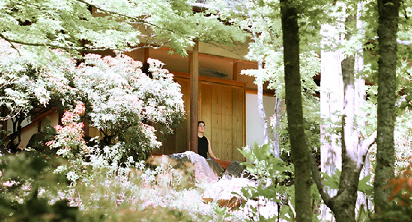 Person amid blooming trees meditation in background