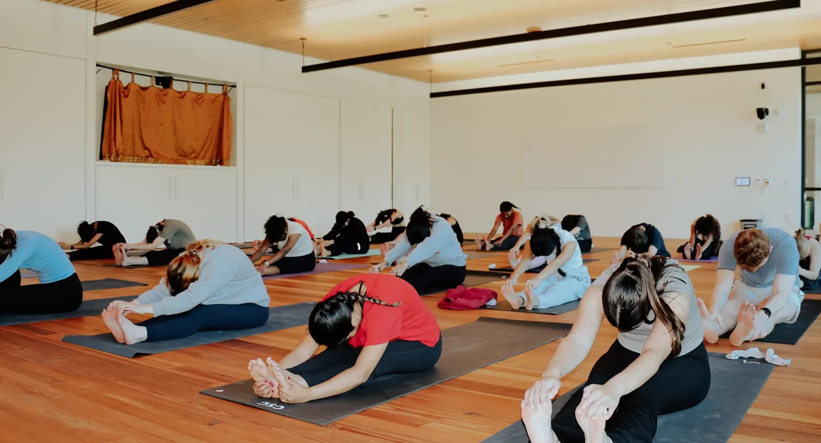 A group of students practicing yoga. They sit with their legs straight and reach towards their toes. 