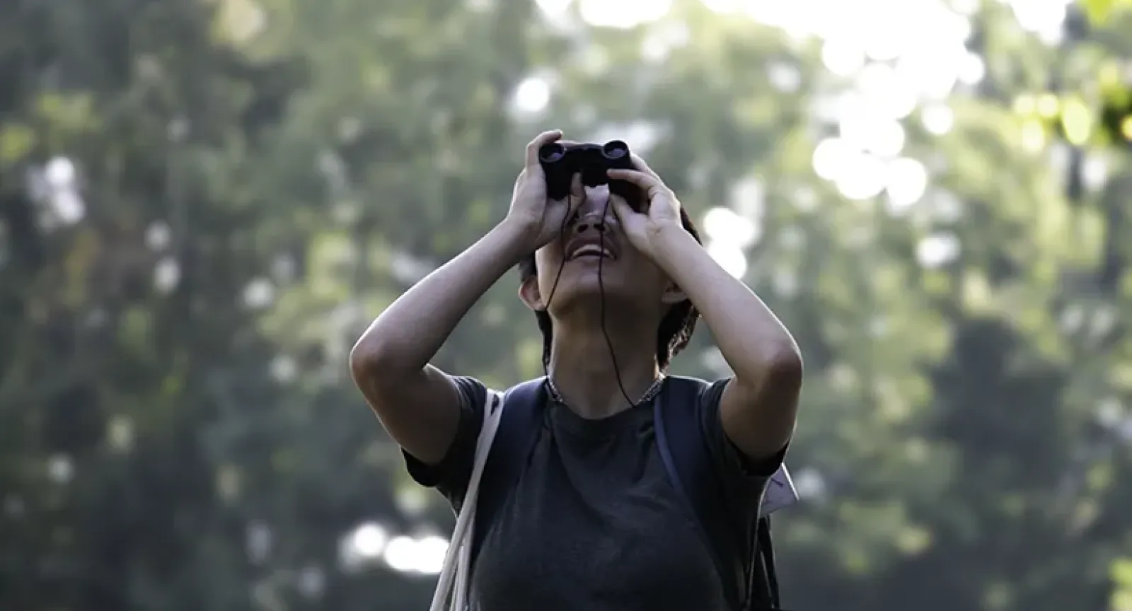 Sydney Wong viewing birds through binoculars