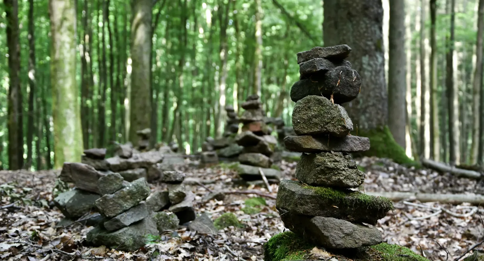 Rock sculptures in the forest.
