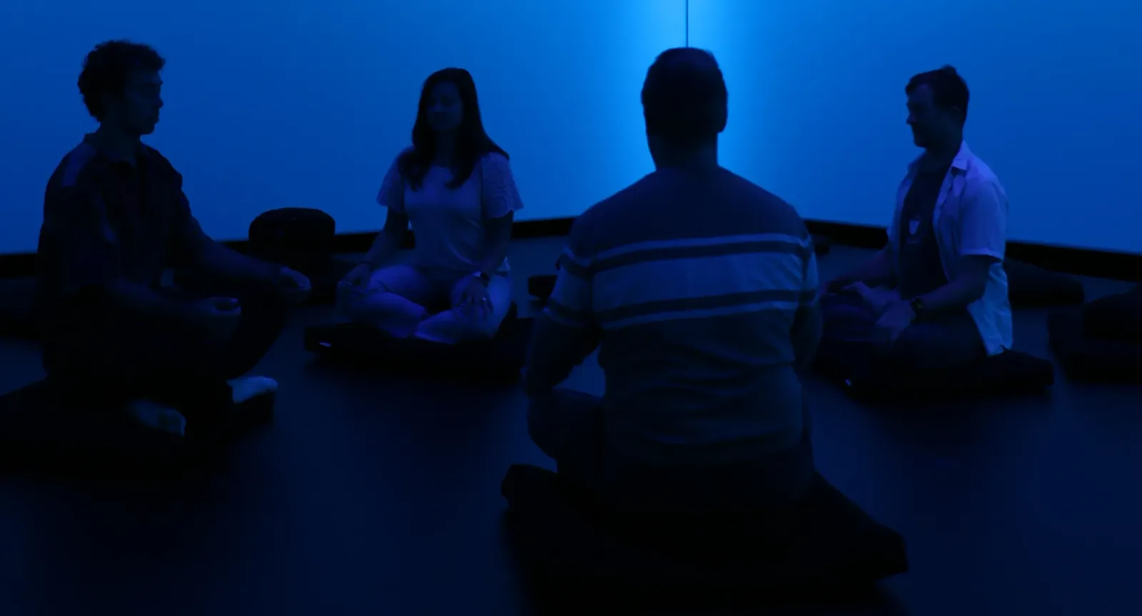 Four people sitting on cushions experiencing the exhibit in the Conservatory