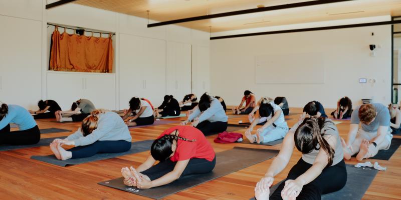 A group of students practicing yoga. They sit with their legs straight and reach towards their toes. 