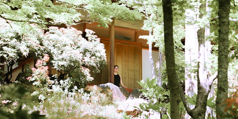 Person amid blooming trees meditation in background
