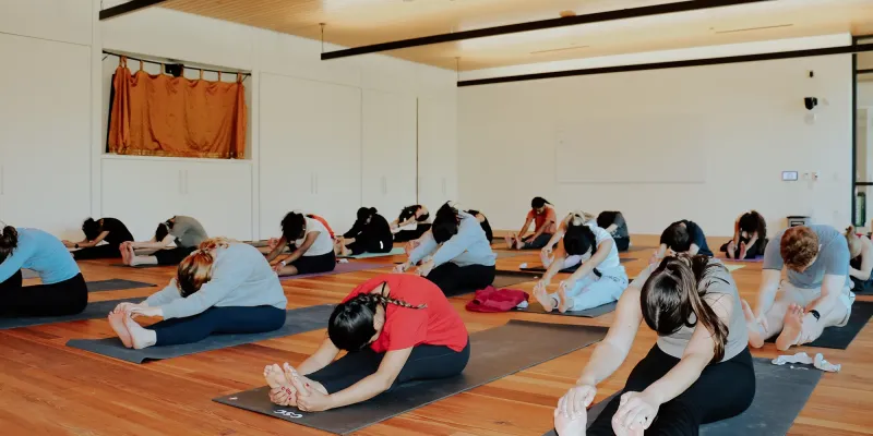 A group of students practicing yoga. They sit with their legs straight and reach towards their toes. 