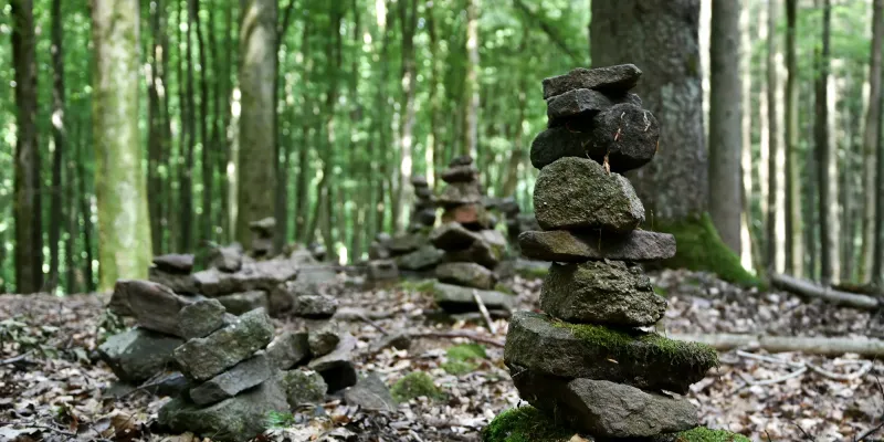 Rock sculptures in the forest.