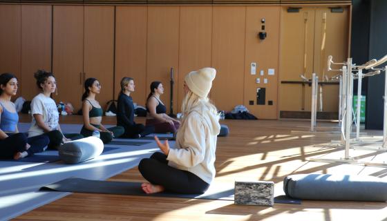 People meditating on mats