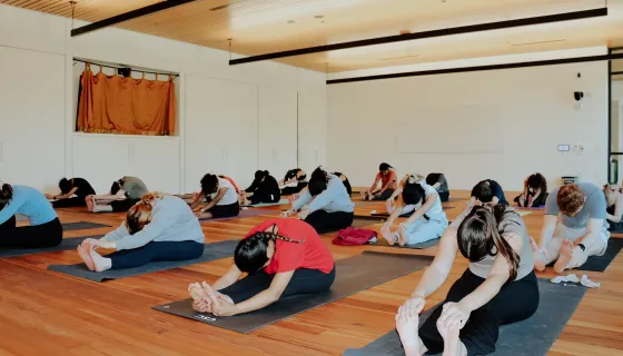 A group of students practicing yoga. They sit with their legs straight and reach towards their toes. 