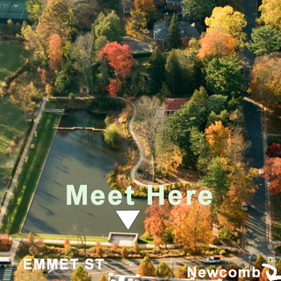 Picture of the Dell showing where to meet on the Emmet St. side