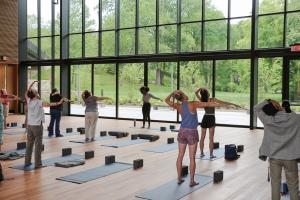 People stretching in front of yoga mats