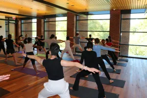 A yoga class in the Contemplative Commons, students in the Hero Pose