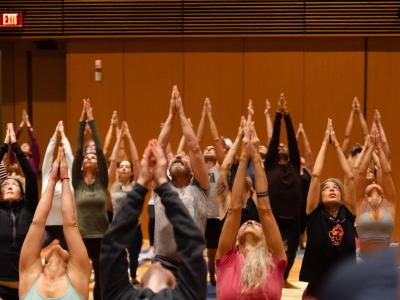 Crop Active Series 2 Yoga