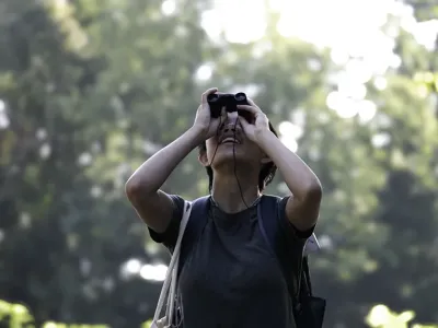 Sydney Wong viewing birds through binoculars
